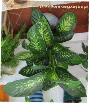 artificial hanging plants outdoor 21” UV Resistant Artificial Lily and Eucalyptus Hanging Basket  (Indoor/Outdoor) main image 1