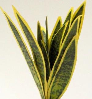 strelitzia 120 cm Strelitzia Kunstplant 120cm